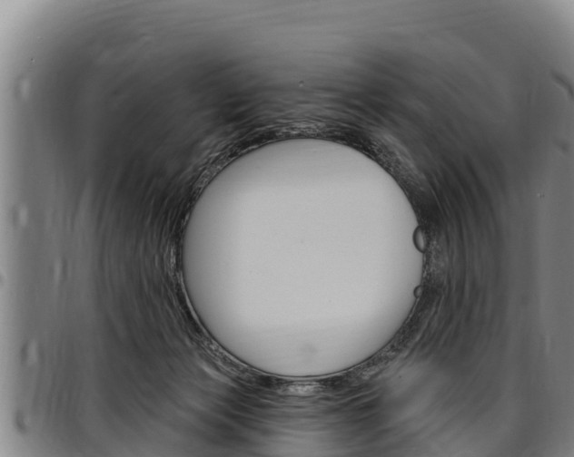 X0000097510173200802220913