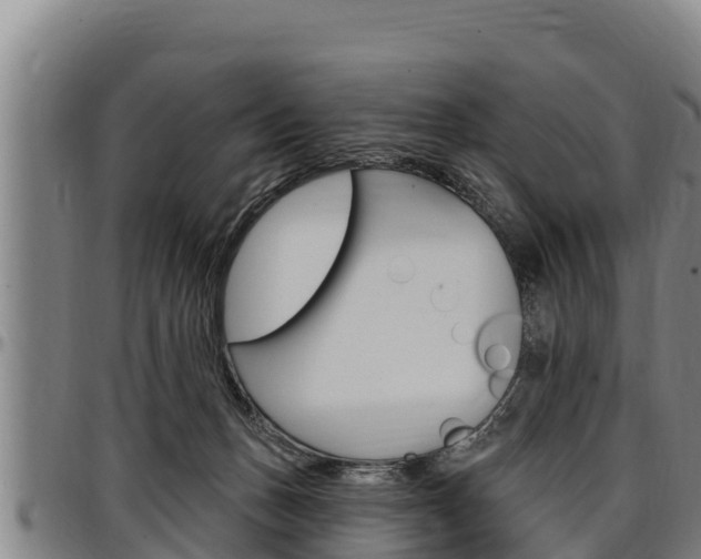 X0000097510175200802220913