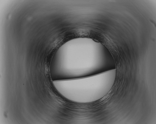 X0000097510176200802220913