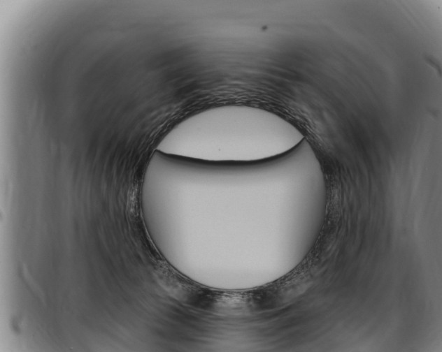 X0000097510177200802220913