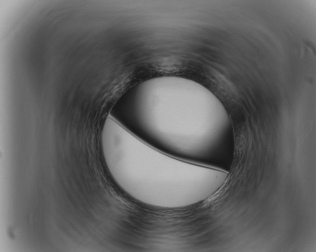 X0000097510180200802220913