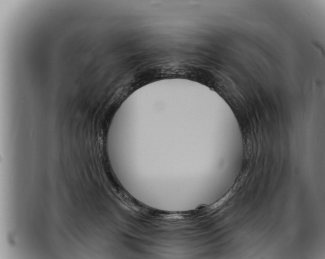 X0000097510183200802220913