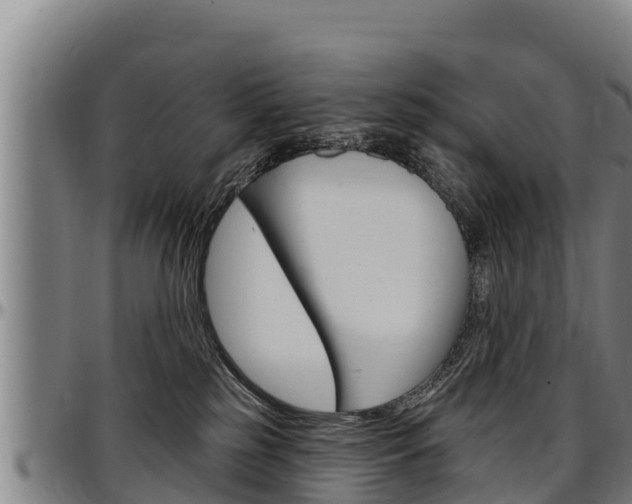 X0000097510185200802220913