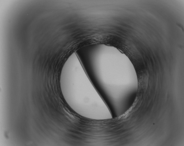 X0000097510186200802220914