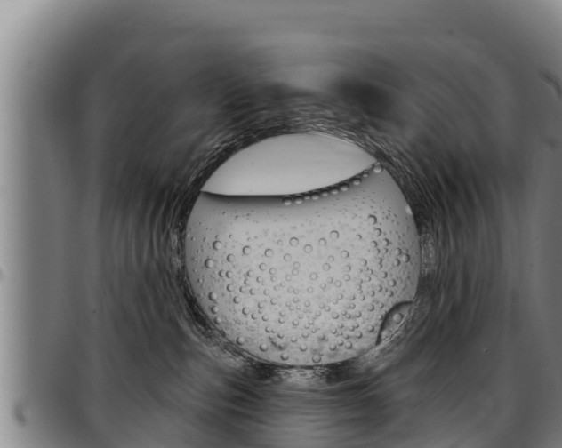 X0000097510187200802220914