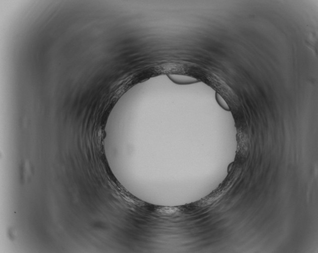 X0000097510189200802220914
