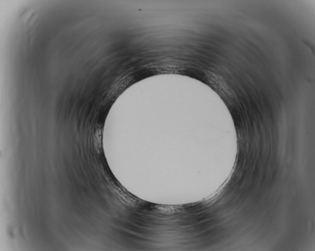 X0000097510190200802220914