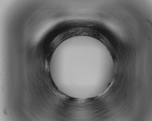 X0000097510191200802220914