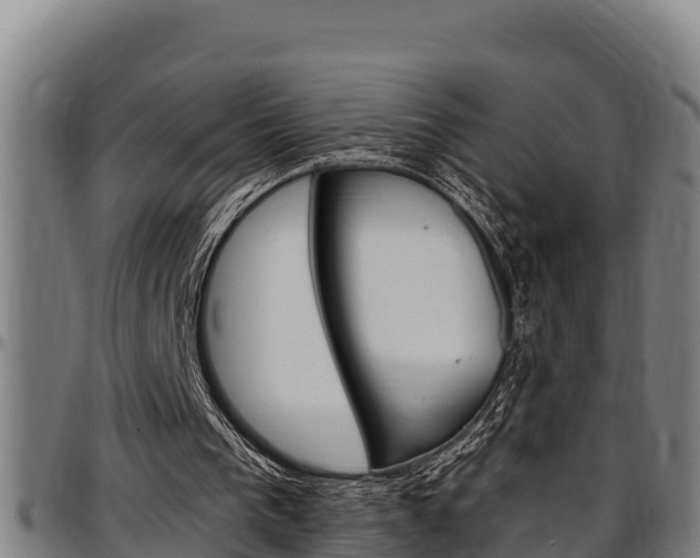 X0000097510193200802220913