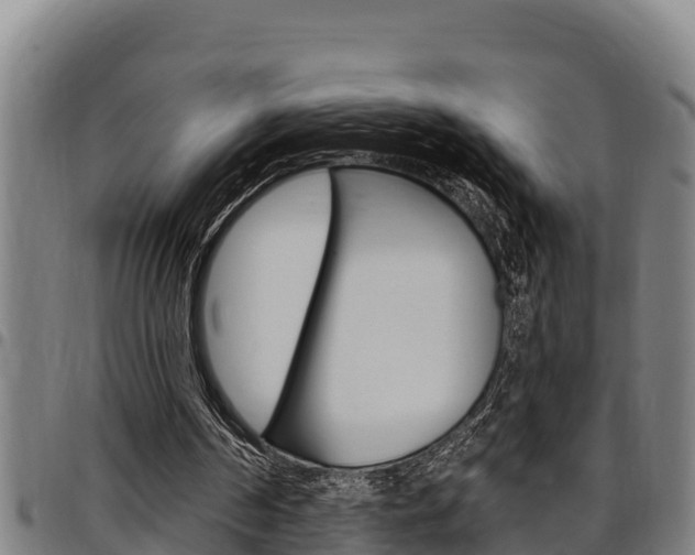 X0000097510194200802220913