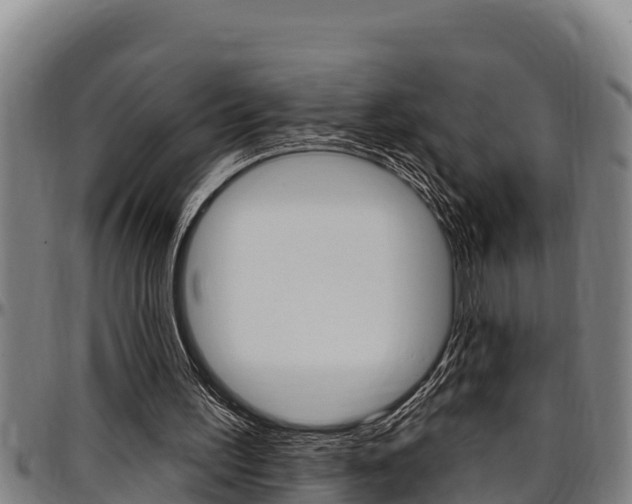 X0000097510195200802220913