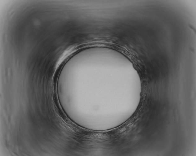 X0000097510198200802220913