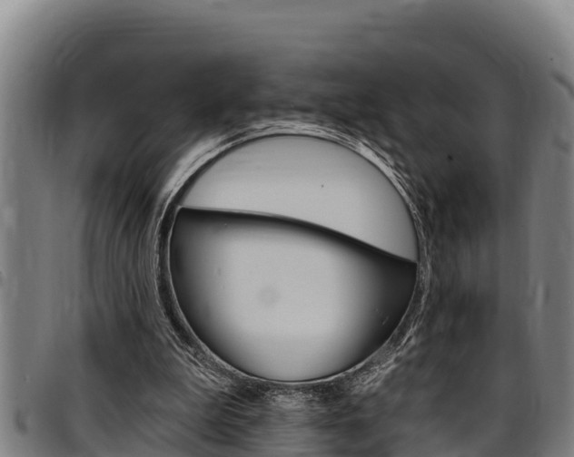 X0000097510199200802220913