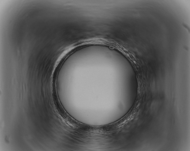 X0000097510200200802220913