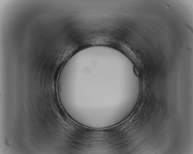 X0000097510202200802220913