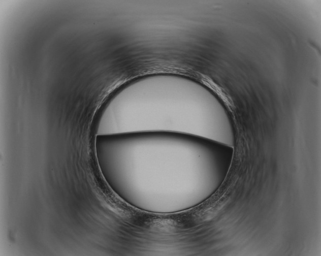 X0000097510203200802220913