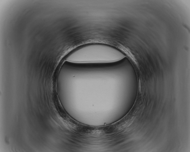 X0000097510204200802220913