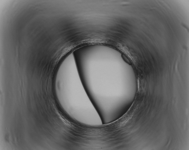 X0000097510205200802220913