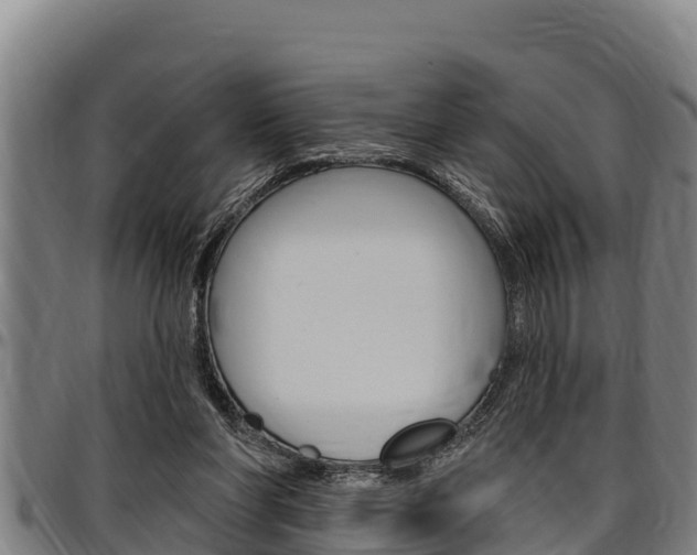 X0000097510206200802220913