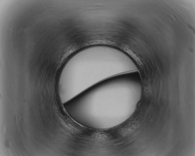 X0000097510207200802220913