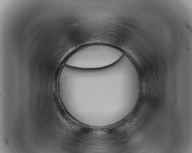 X0000097510208200802220913
