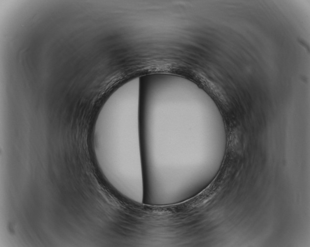X0000097510209200802220913