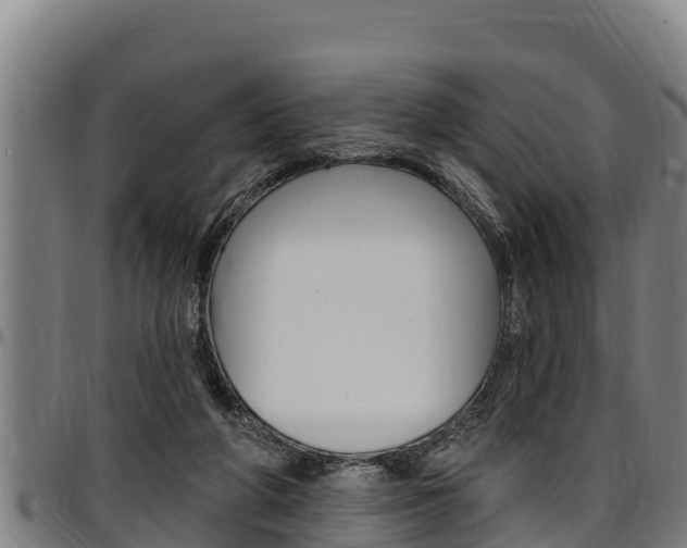 X0000097510210200802220913