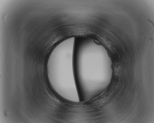 X0000097510211200802220913