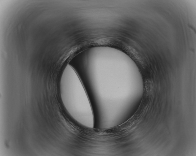 X0000097510212200802220913