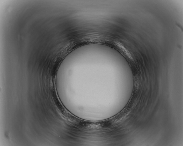 X0000097510213200802220913