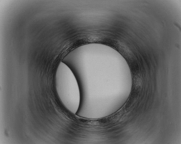 X0000097510214200802220912