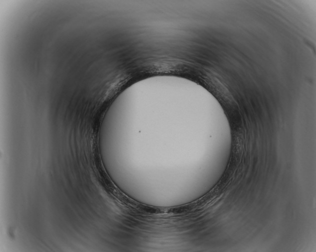 X0000097510216200802220912