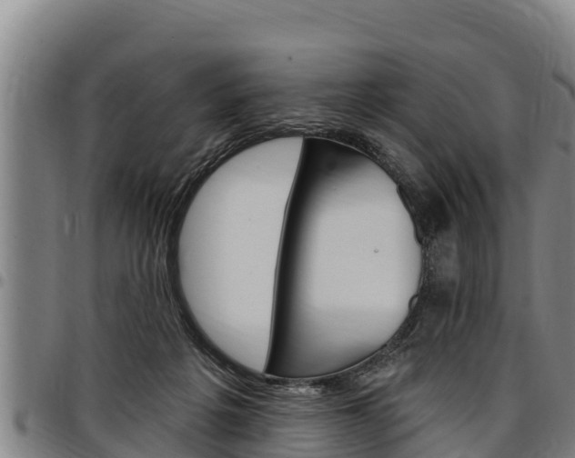 X0000097510217200802220912
