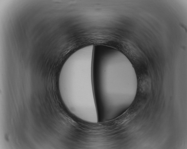 X0000097510219200802220912