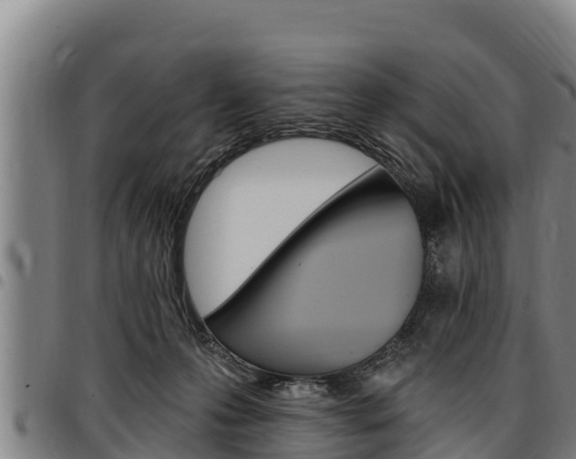 X0000097510223200802220912
