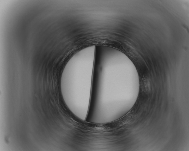 X0000097510224200802220912