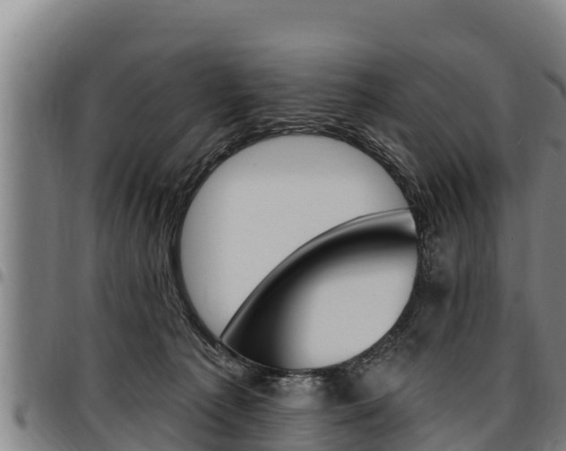 X0000097510225200802220912