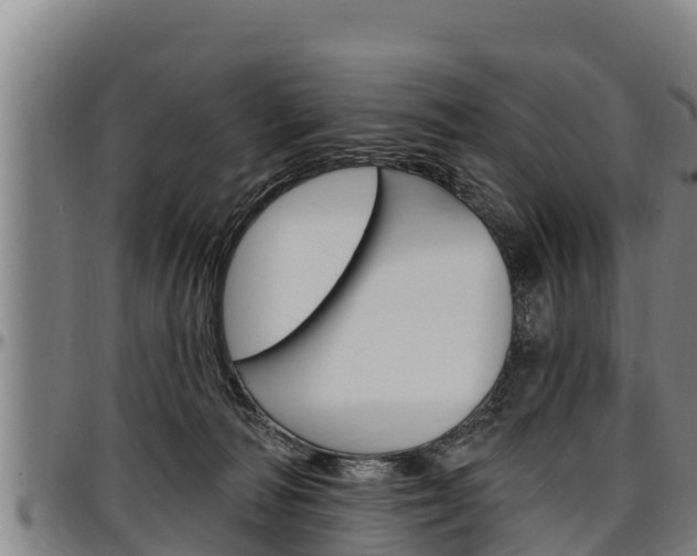 X0000097510226200802220912