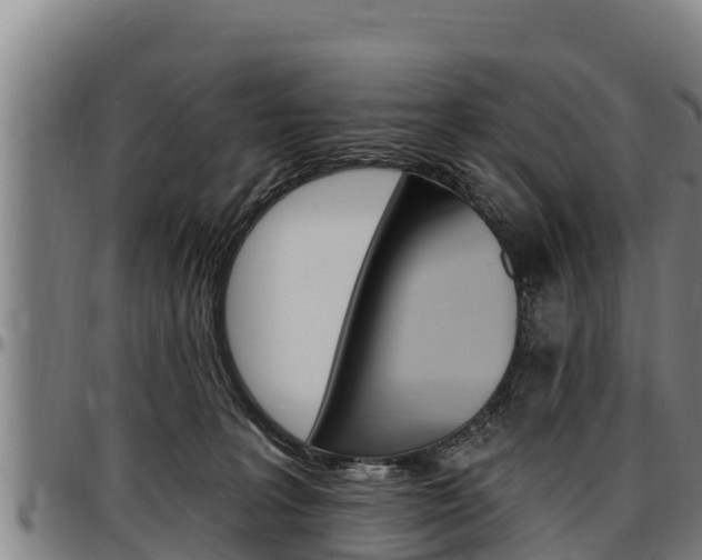 X0000097510227200802220912
