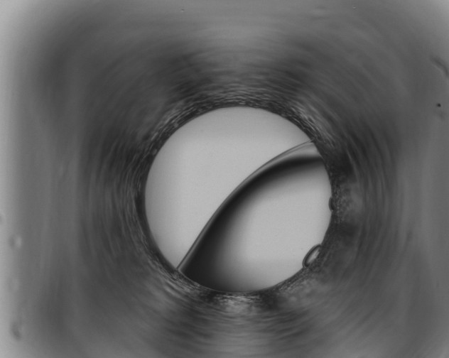 X0000097510229200802220912