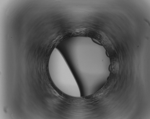 X0000097510231200802220912