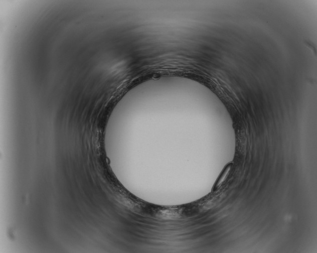 X0000097510232200802220912
