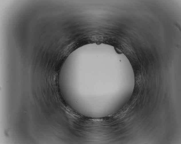 X0000097510233200802220912