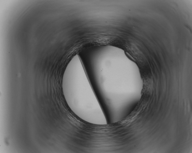 X0000097510237200802220912