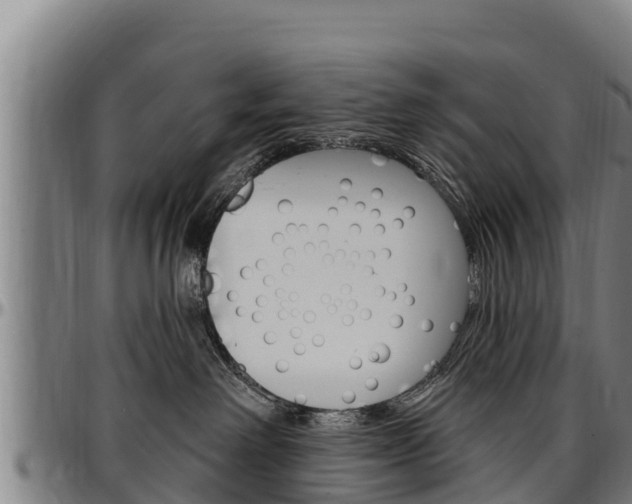 X0000097510238200802220912