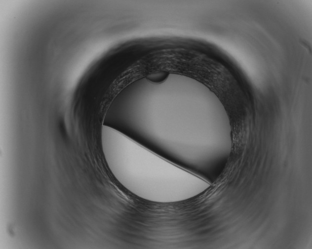 X0000097510239200802220912