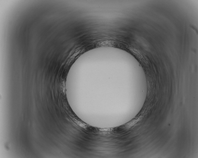 X0000097510240200802220912