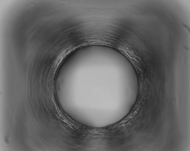 X0000097510241200802220911
