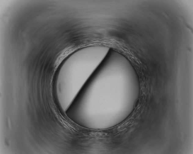 X0000097510242200802220911