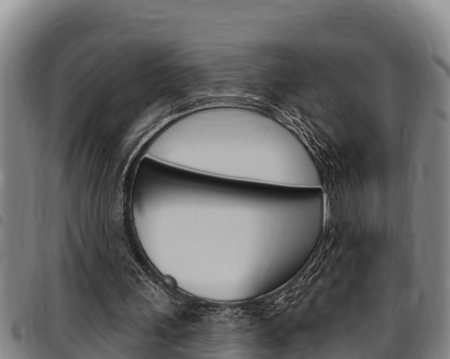 X0000097510243200802220911